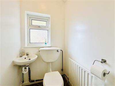 Picture 20